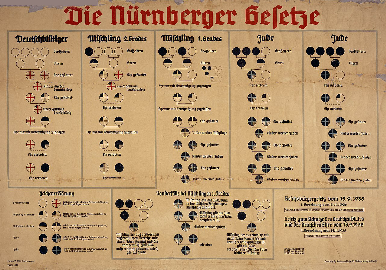 Pannello illustrativo della suddivisione razziale utilizzata in Germania dopo le leggi di Norimberga in cui vengono descritte graficamente da sinistra a destra le linee di sangue per identificare le persone di «sangue tedesco» (Deutschblütiger), i Mischling di secondo e primo grado e infine gli ebrei