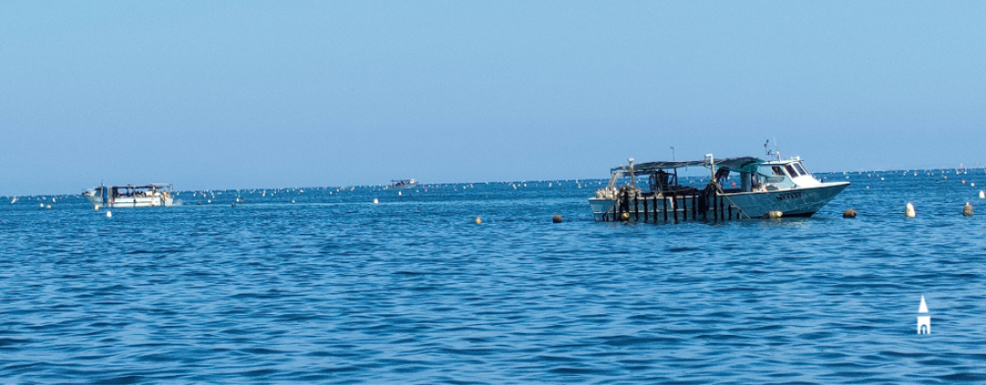Progetto Biobased - foto delle barche in mare