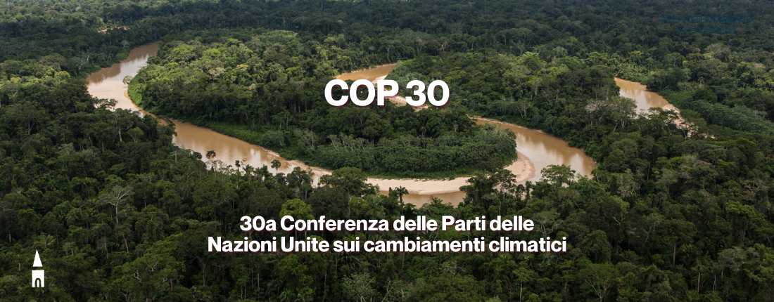 COP 30