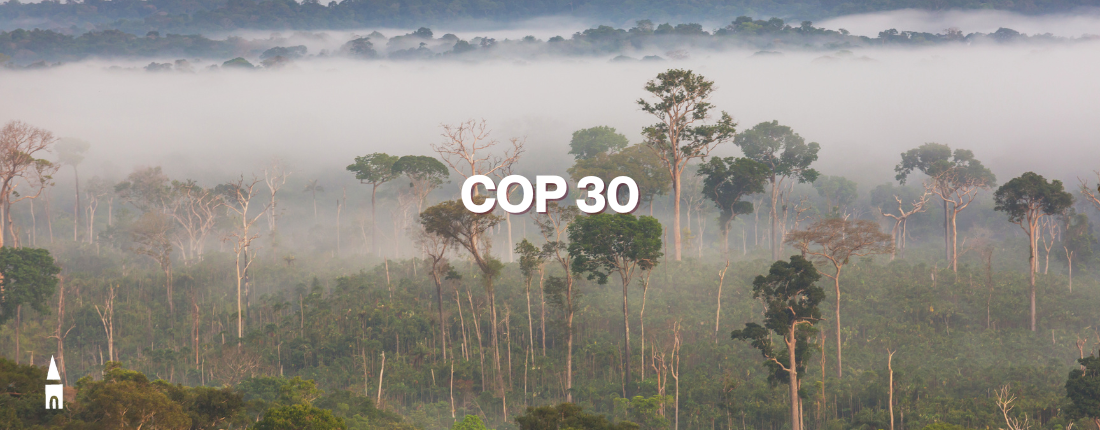 Cop 30