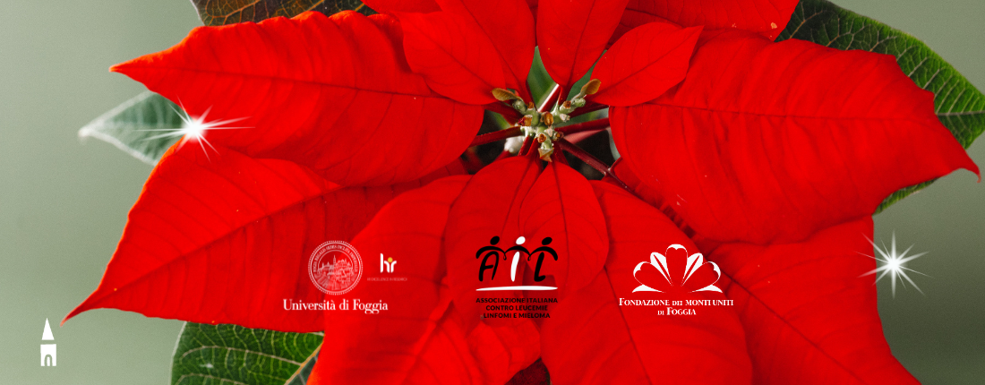 Stelle di Natale Ail Unifg e Fondazione Monti uniti