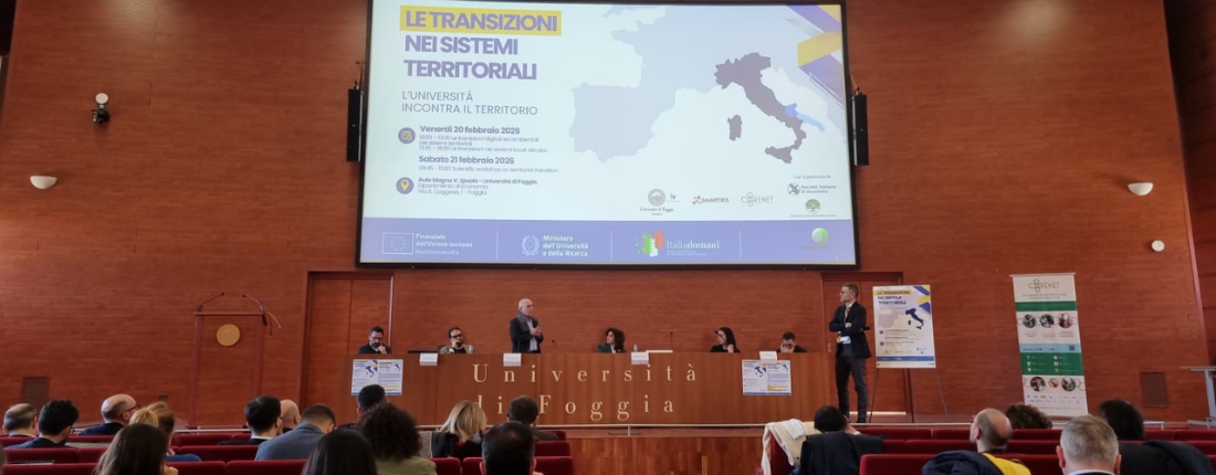 Le transizioni nei sistemi territoriali