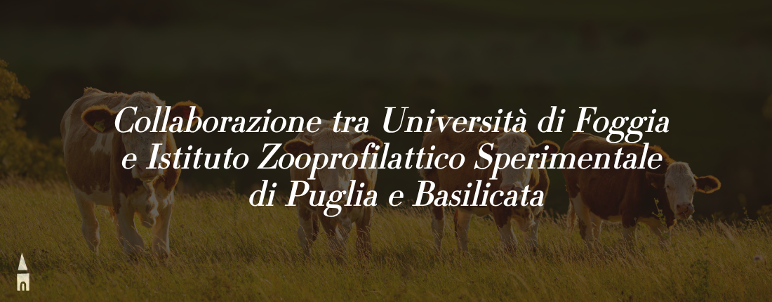 Università di Foggia e Istituto Zooprofilattico insieme per la ricerca: domani la firma della convenzione per una borsa di dottorato da 72mila euro