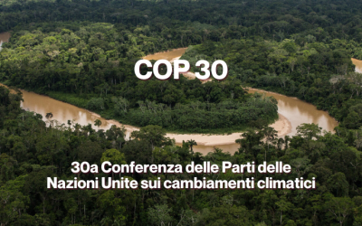 COP 30