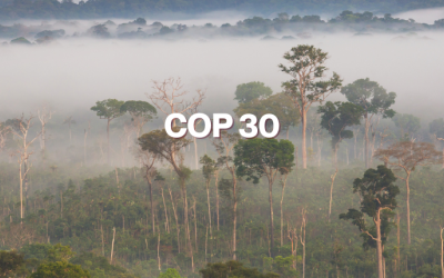 Cop 30
