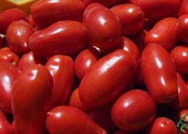 pomodoro pelato