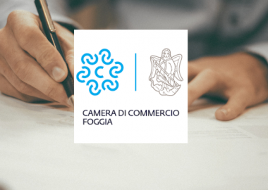 Borse di studio camera di commercio