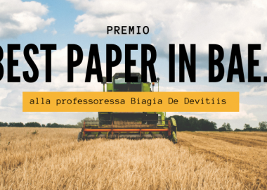Best Paper in BAE