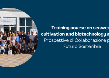 Training course on seaweed cultivation and biotechnology