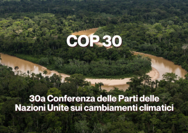 COP 30