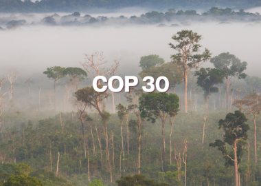 Cop 30