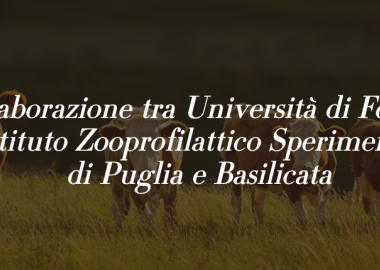 Università di Foggia e Istituto Zooprofilattico insieme per la ricerca: domani la firma della convenzione per una borsa di dottorato da 72mila euro