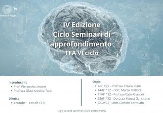 Seminari TFA