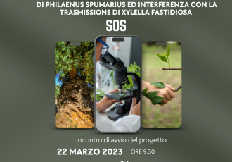 SOS XYLELLA