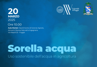 Sorella acqua