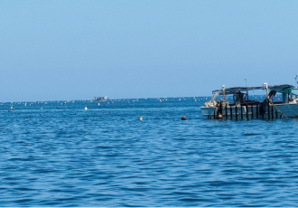 Progetto Biobased - foto delle barche in mare