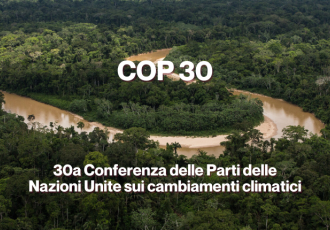COP 30