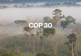Cop 30