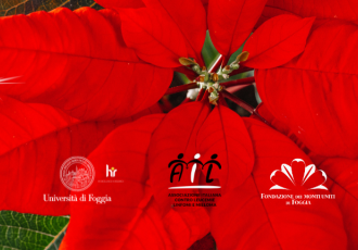 Stelle di Natale Ail Unifg e Fondazione Monti uniti