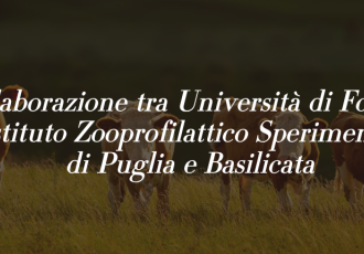 Università di Foggia e Istituto Zooprofilattico insieme per la ricerca: domani la firma della convenzione per una borsa di dottorato da 72mila euro