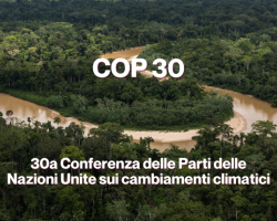 COP 30
