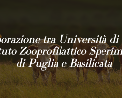 Università di Foggia e Istituto Zooprofilattico insieme per la ricerca: domani la firma della convenzione per una borsa di dottorato da 72mila euro